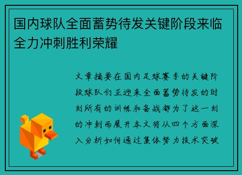 国内球队全面蓄势待发关键阶段来临全力冲刺胜利荣耀